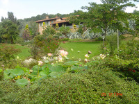 ' .  addslashes(Ristorante Cascina il Galletto) . '