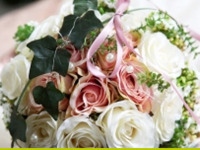 ' .  addslashes(Clorofilla) . '