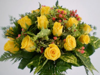 ' .  addslashes(Gipsy Fiori) . '