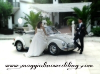 ' .  addslashes(Pulmino Wedding) . '
