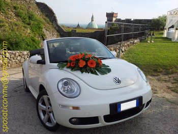 New Beetle Cabrio Bianco