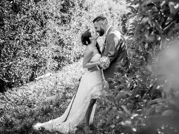 Backlight Photography