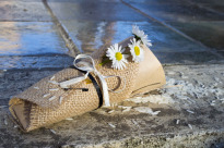 ' .  addslashes(Demetra Wedding Planner) . '