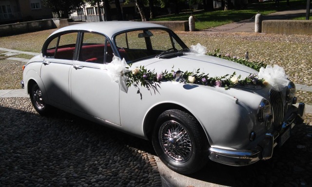Old Beetle Eventi