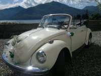 ' .  addslashes(Old Beetle Eventi) . '