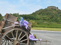 ' .  addslashes(Cascina Smiraglia) . '