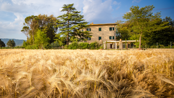Villa Ivana
