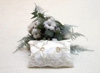 ' .  addslashes(Dall'Anello al Sì di Isabella Stoja) . '