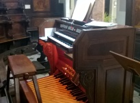 ' .  addslashes(Organista per Matrimoni) . '