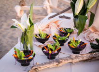 ' .  addslashes(L'Alba Catering del Quore) . '