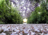 ' .  addslashes(I Giardini del Meisino) . '