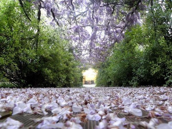 I Giardini del Meisino