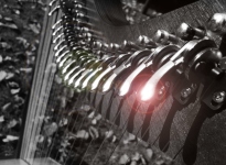 ' .  addslashes(Jennifer Celtic Harp) . '