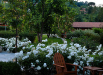 ' .  addslashes(San Quintino Resort) . '