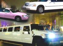 ' .  addslashes(Lady Limousine) . '
