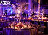 ' .  addslashes(WOW Wedding) . '