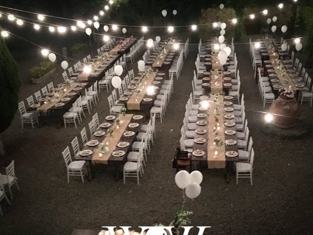 WOW Wedding