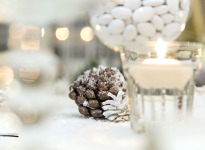' .  addslashes(Wedding & Party Planner Sara Porro) . '