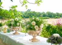 ' .  addslashes(Tenuta Valle Cento) . '