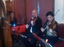 ' .  addslashes(Note dal Vivo) . '