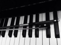 ' .  addslashes(Note dal Vivo) . '