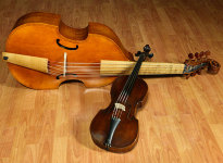 ' .  addslashes(Note dal Vivo) . '