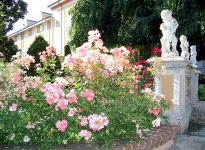 ' .  addslashes(Villa Salzea) . '