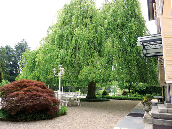Villa Salzea
