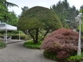 ' .  addslashes(Villa Salzea) . '