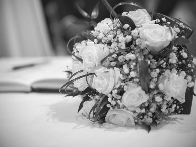 Martina Venturelli Studio