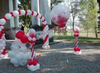 ' .  addslashes(Idee di Festa) . '