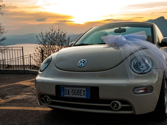 S&M New Beetle