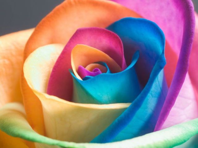 I Sogni Son Desideri Events