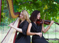 ' .  addslashes(Arpista Elena Cacciagrano) . '