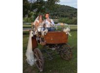 ' .  addslashes(Eventi a Ferro di Cavallo) . '