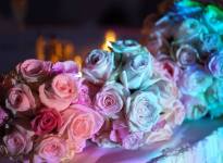 ' .  addslashes(Grace Events) . '