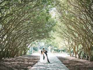 ' .  addslashes(Alessandro Colle) . '