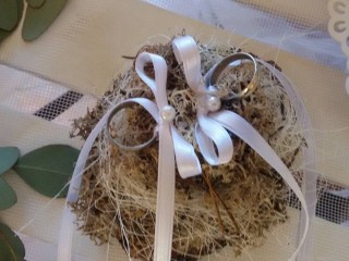 ' .  addslashes(Sesto Verde di Bruni Riccardo) . '