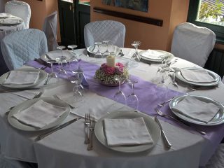 ' .  addslashes(Elefante) . '