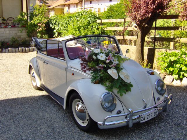 Mio Maggiolino