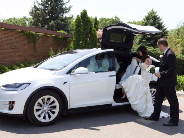 Tesladream
