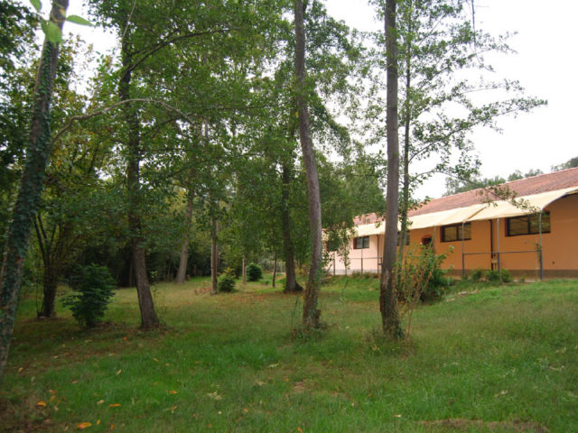 La Bedina
