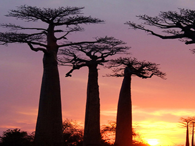 Altrimenti Viaggi - Wedding Travel Services