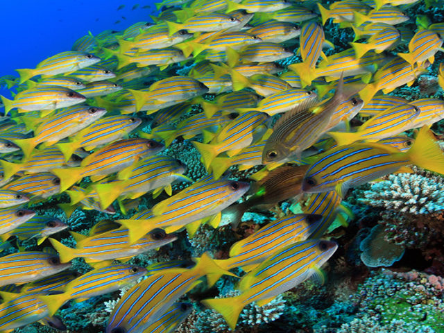 Altrimenti Viaggi - Wedding Travel Services