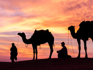 ' .  addslashes(Altrimenti Viaggi - Wedding Travel Services) . '