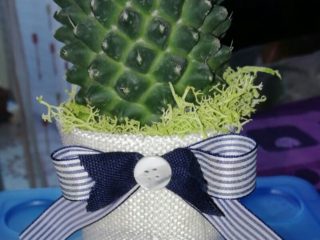 ' .  addslashes(Officina del Verde) . '