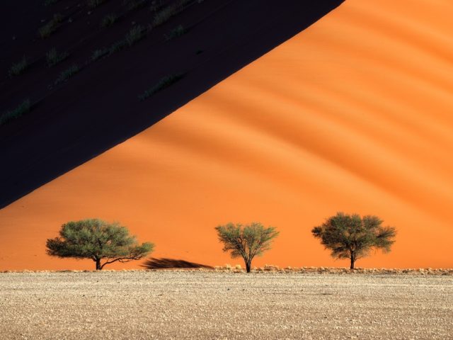 Afrozapping Safaris & Tour Operator