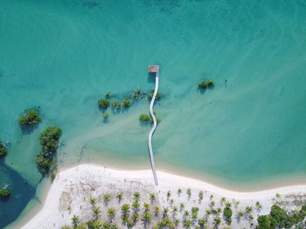 Afrozapping Safaris & Tour Operator