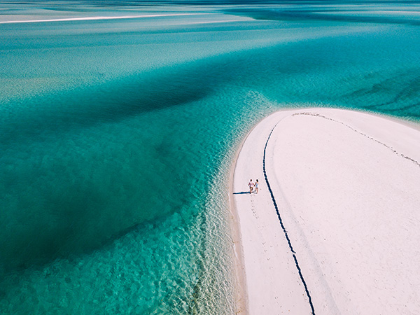 Afrozapping Safaris & Tour Operator