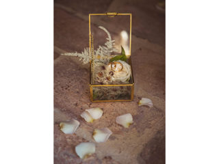 ' .  addslashes(Isabella Pratesi Fotografa) . '